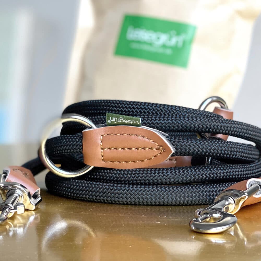 Nylon Hundeleine 2 m lang, in Schwarz mit zwei Karabinern und Lederverstärkungen