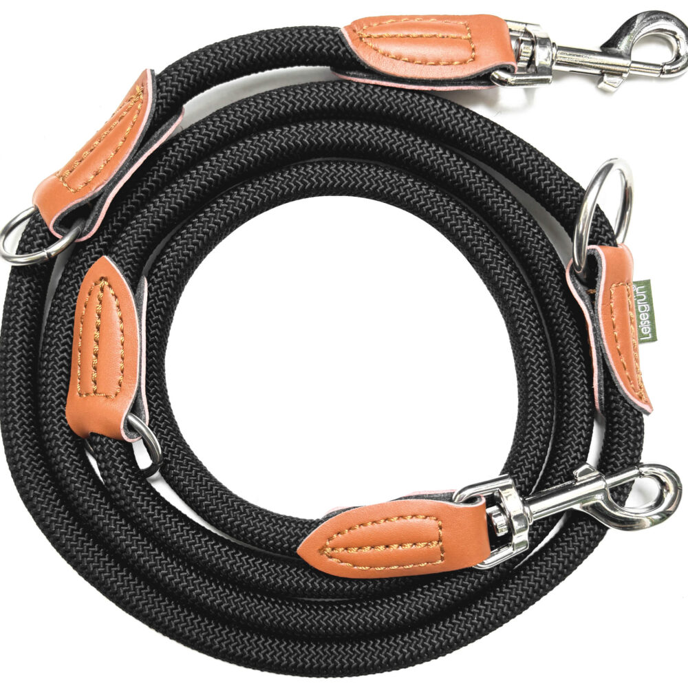 Nylon Hundeleine 2 m lang, in Schwarz mit zwei Karabinern und Lederverstärkungen