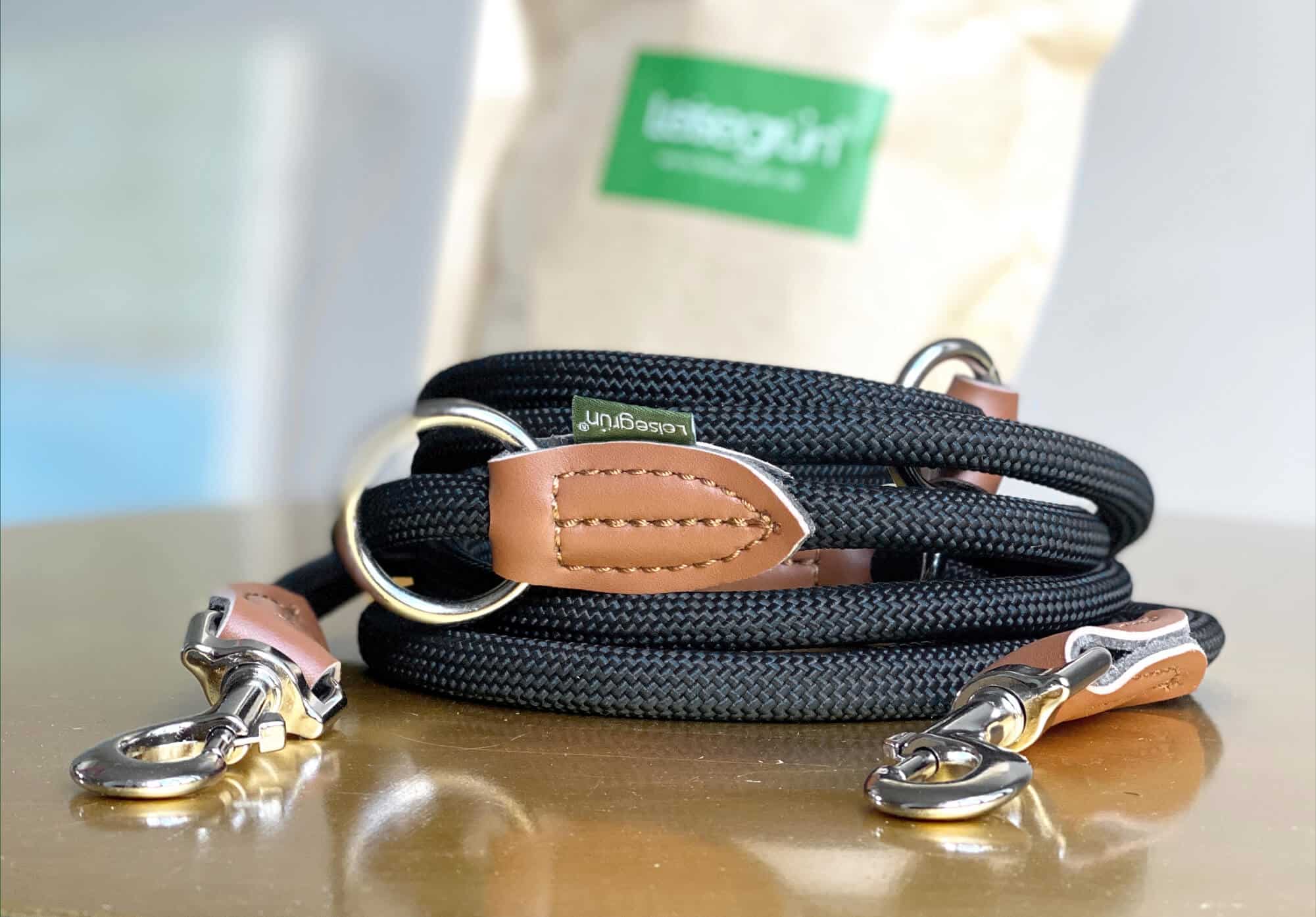 Nylon Hundeleine 2 m lang, in Schwarz mit zwei Karabinern und Lederverstärkungen