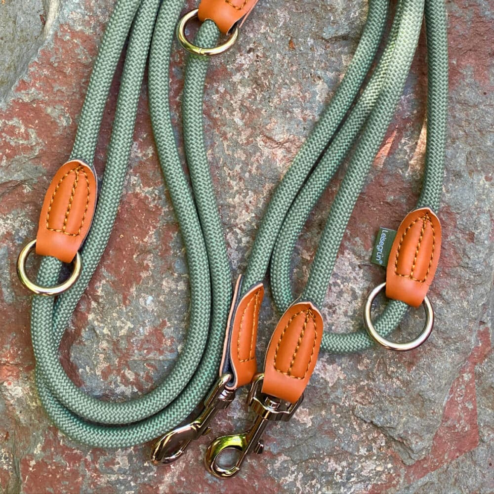 Nylon Hundeleine 2 m in hellem Grün mit zwei Karabinern und Lederverstärkungen