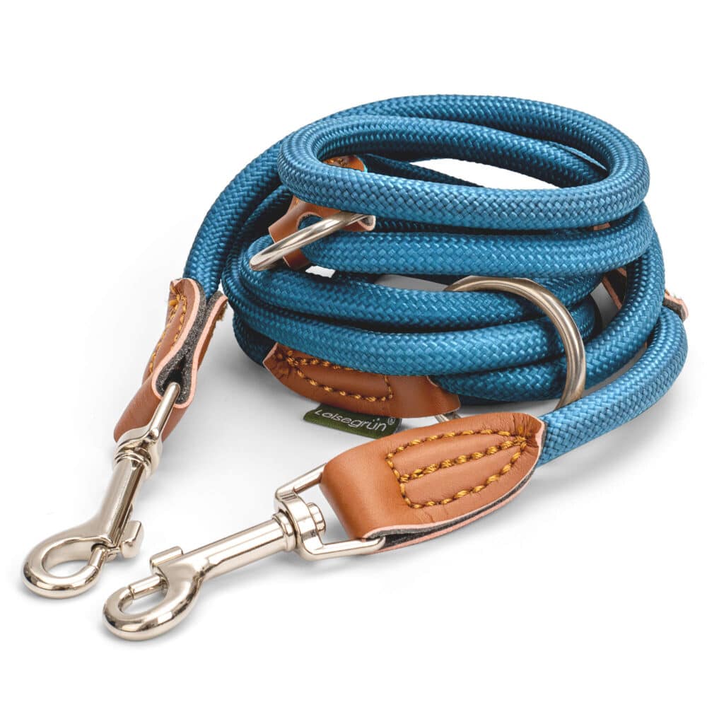 Nylon Hundeleine 2 m in Blau mit zwei Karabinern und Lederverstärkungen