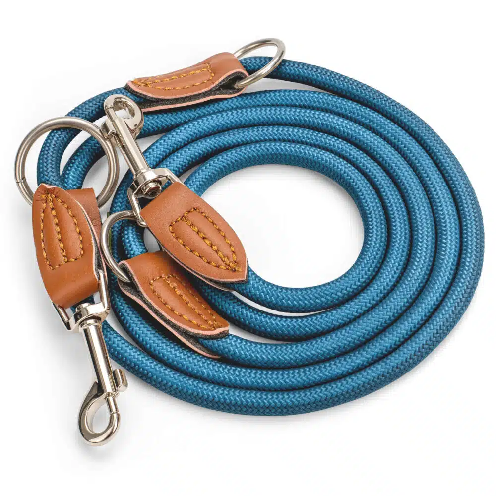 Nylon Hundeleine 2 m in Blau mit zwei Karabinern und Lederverstärkungen