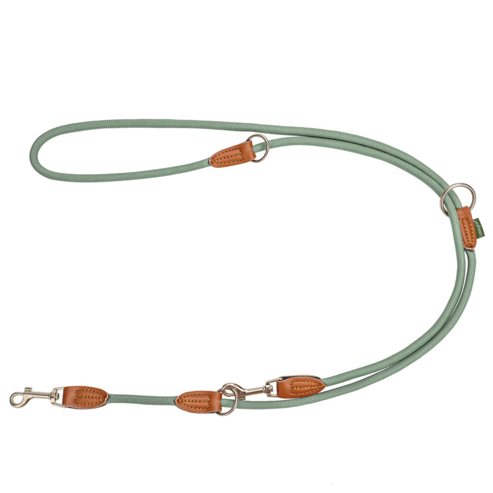 Nylon Hundeleine 2 m in hellem Grün mit zwei Karabinern und Lederverstärkungen