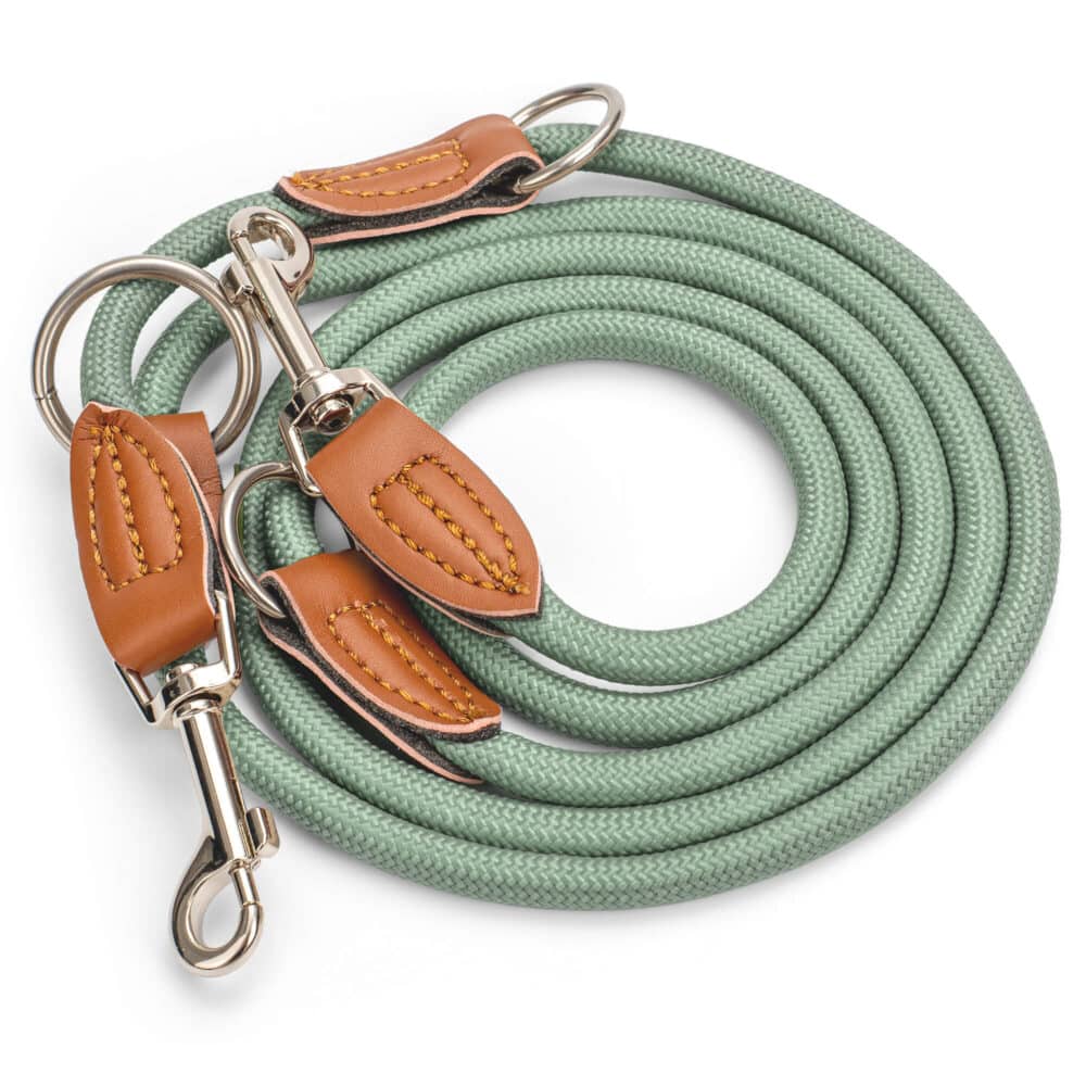Nylon Hundeleine 2 m in hellem Grün mit zwei Karabinern und Lederverstärkungen