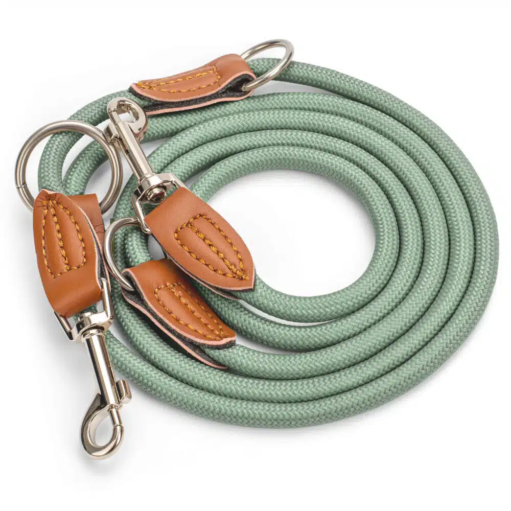Nylon Hundeleine 2 m in hellem Grün mit zwei Karabinern und Lederverstärkungen