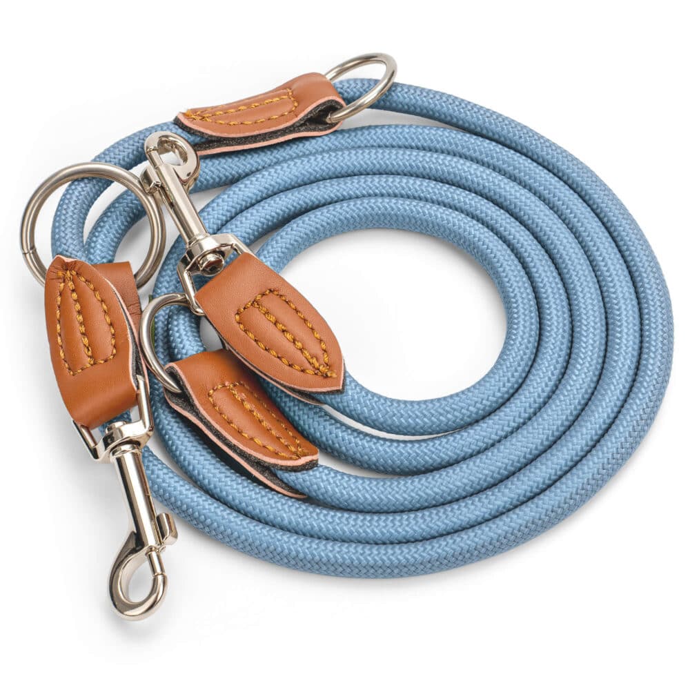 Nylon Hundeleine 2 m in hellem Blau mit zwei Karabinern und Lederverstärkungen