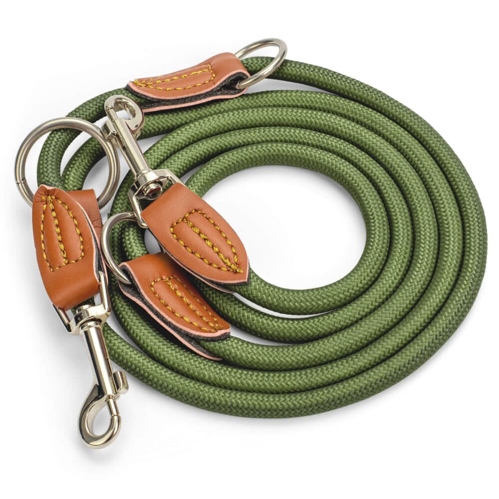 Nylon Hundeleine 2 m lang, in Olivgrün mit zwei Karabinern und Lederverstärkungen