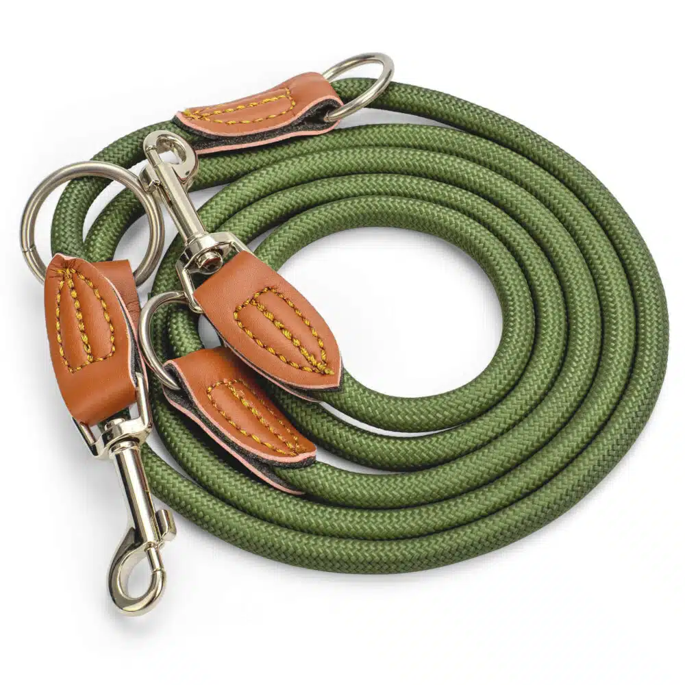 Nylon Hundeleine 2 m lang, in Olivgrün mit zwei Karabinern und Lederverstärkungen