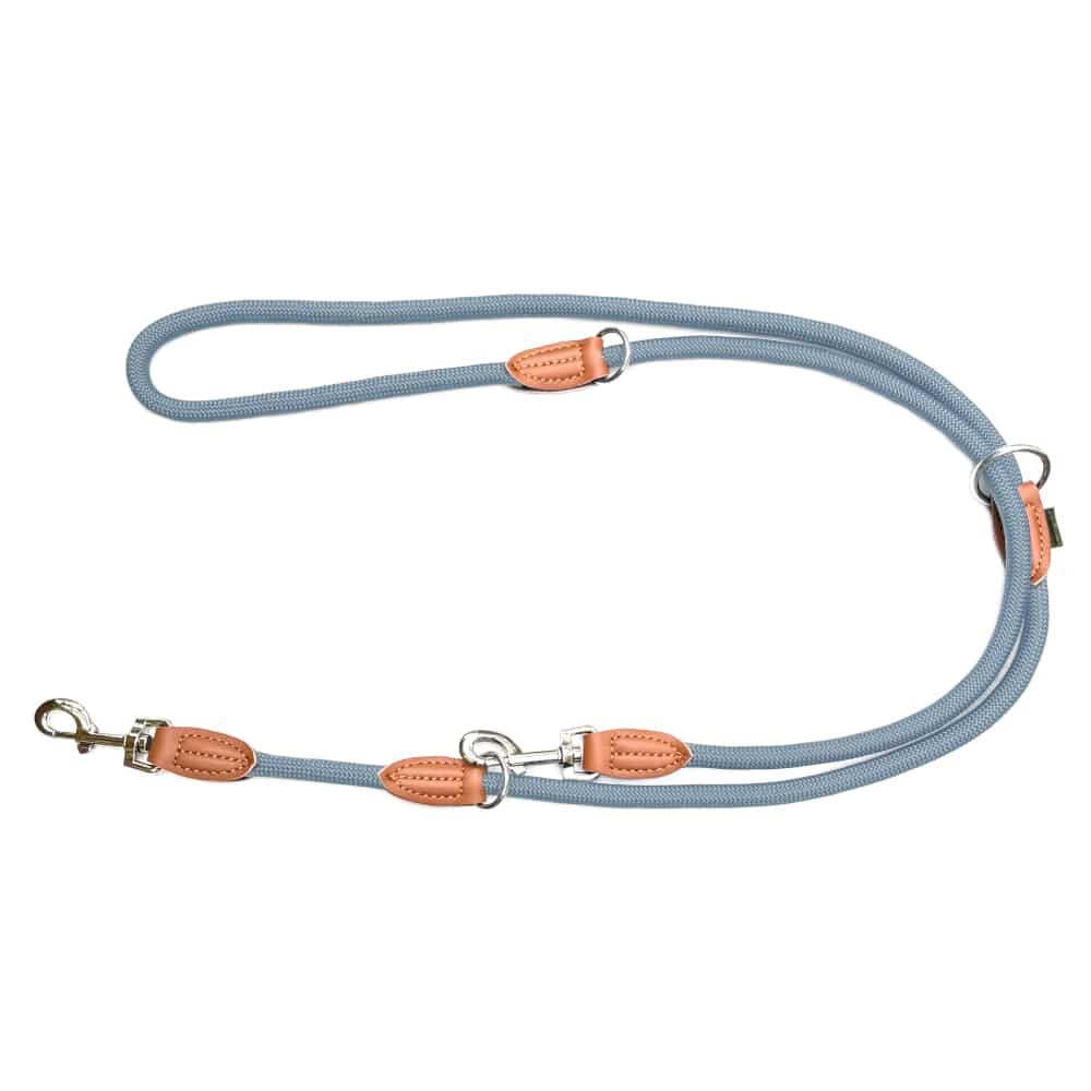 Nylon Hundeleine 2 m in hellem Blau mit zwei Karabinern und Lederverstärkungen