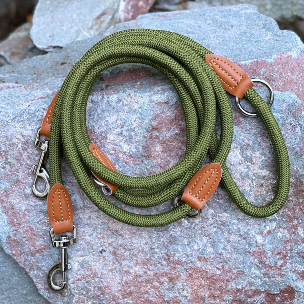 Nylon Hundeleine 2 m lang, in Olivgrün mit zwei Karabinern und Lederverstärkungen