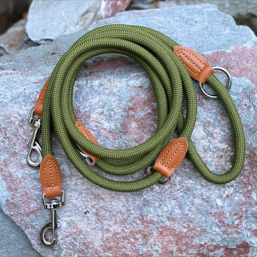 Nylon Hundeleine 2 m lang, in Olivgrün mit zwei Karabinern und Lederverstärkungen