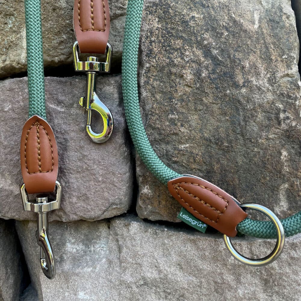 Nylon Hundeleine 2 m in hellem Grün mit zwei Karabinern und LederverstärkungenNylon Hundeleine 2 m in hellem Grün mit zwei Karabinern und Lederverstärkungen
