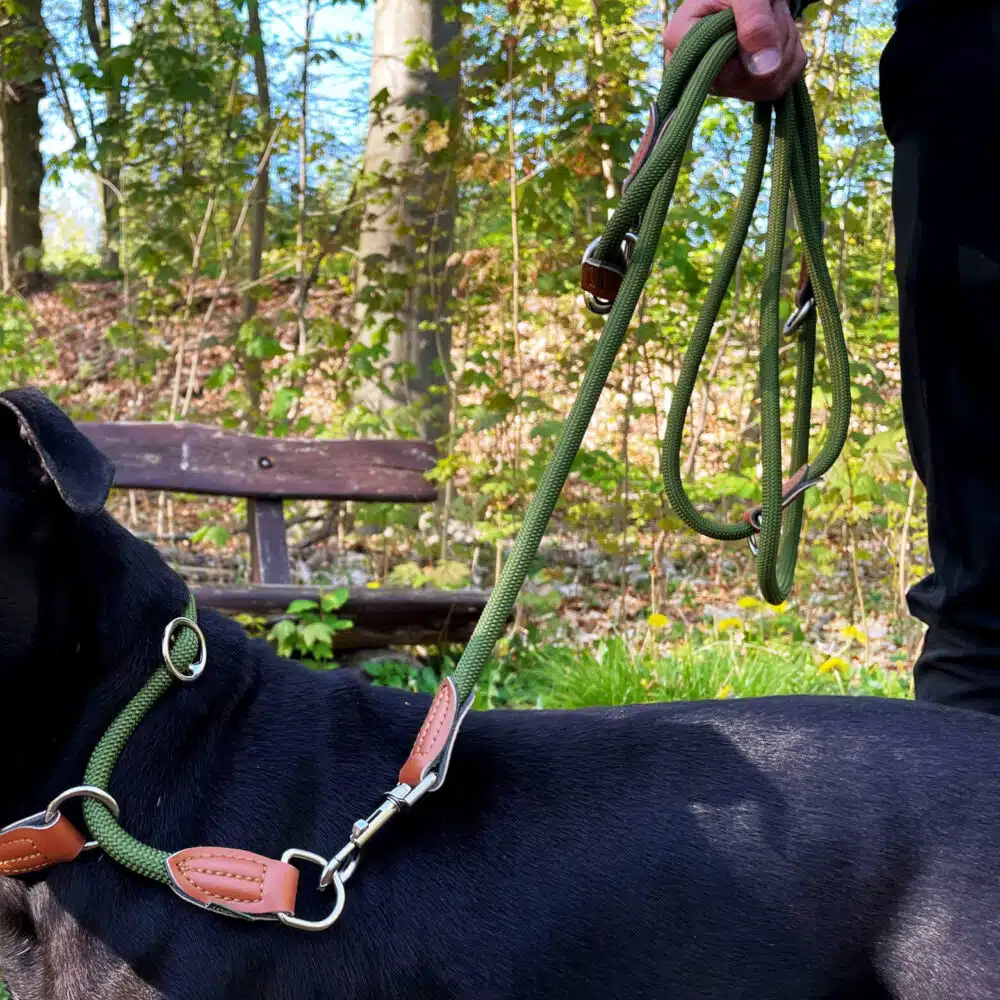 Nylon Hundeleine 2 m lang, in Olivgrün mit zwei Karabinern und Lederverstärkungen