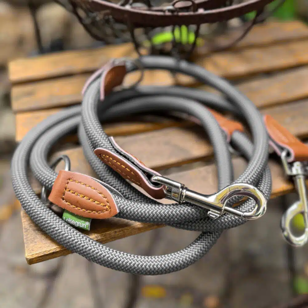 Nylon Hundeleine 2 m lang, in grau mit zwei Karabinern und Lederverstärkungen