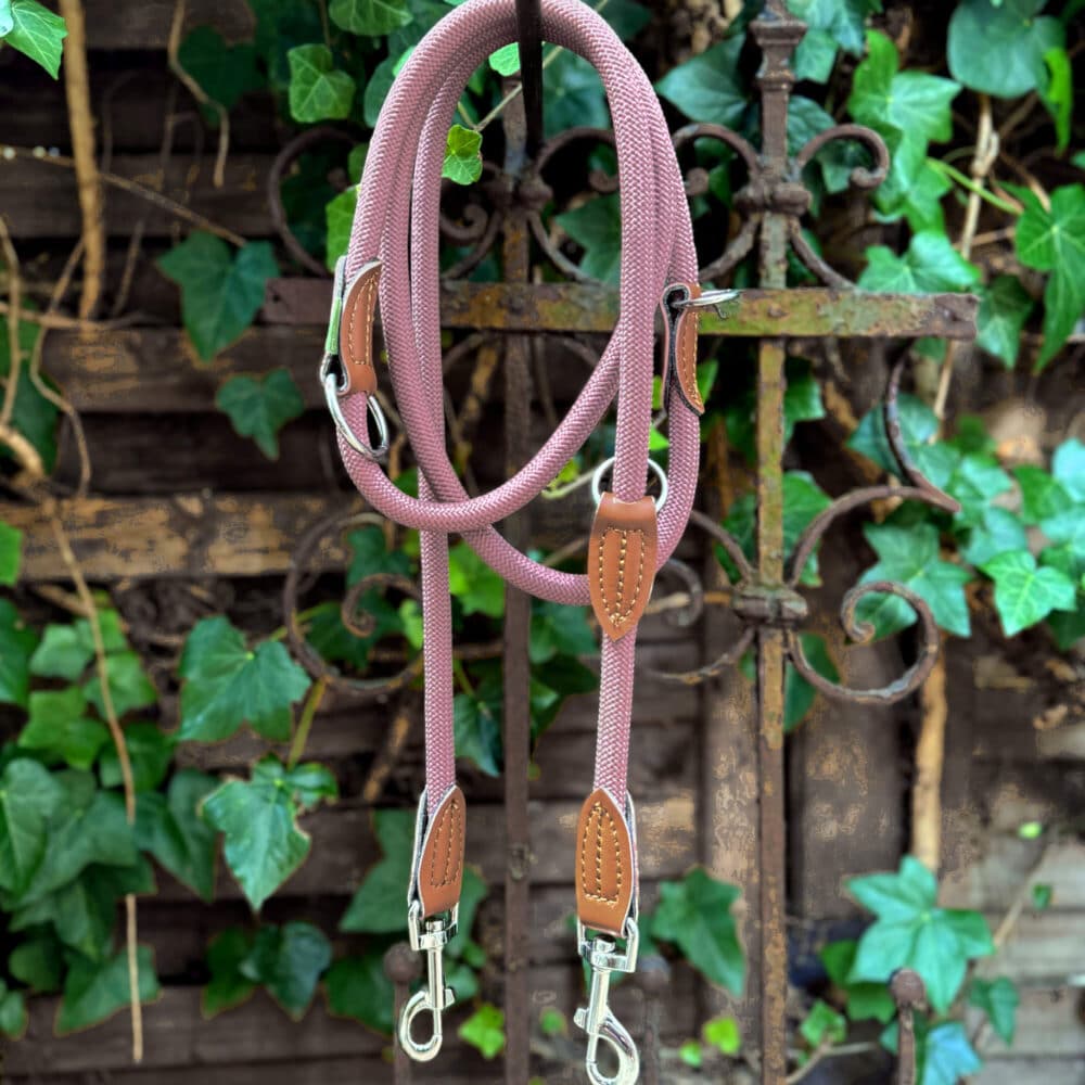 Nylon Hundeleine 2 m lang, in Altrosa mit zwei Karabinern und Lederverstärkungen