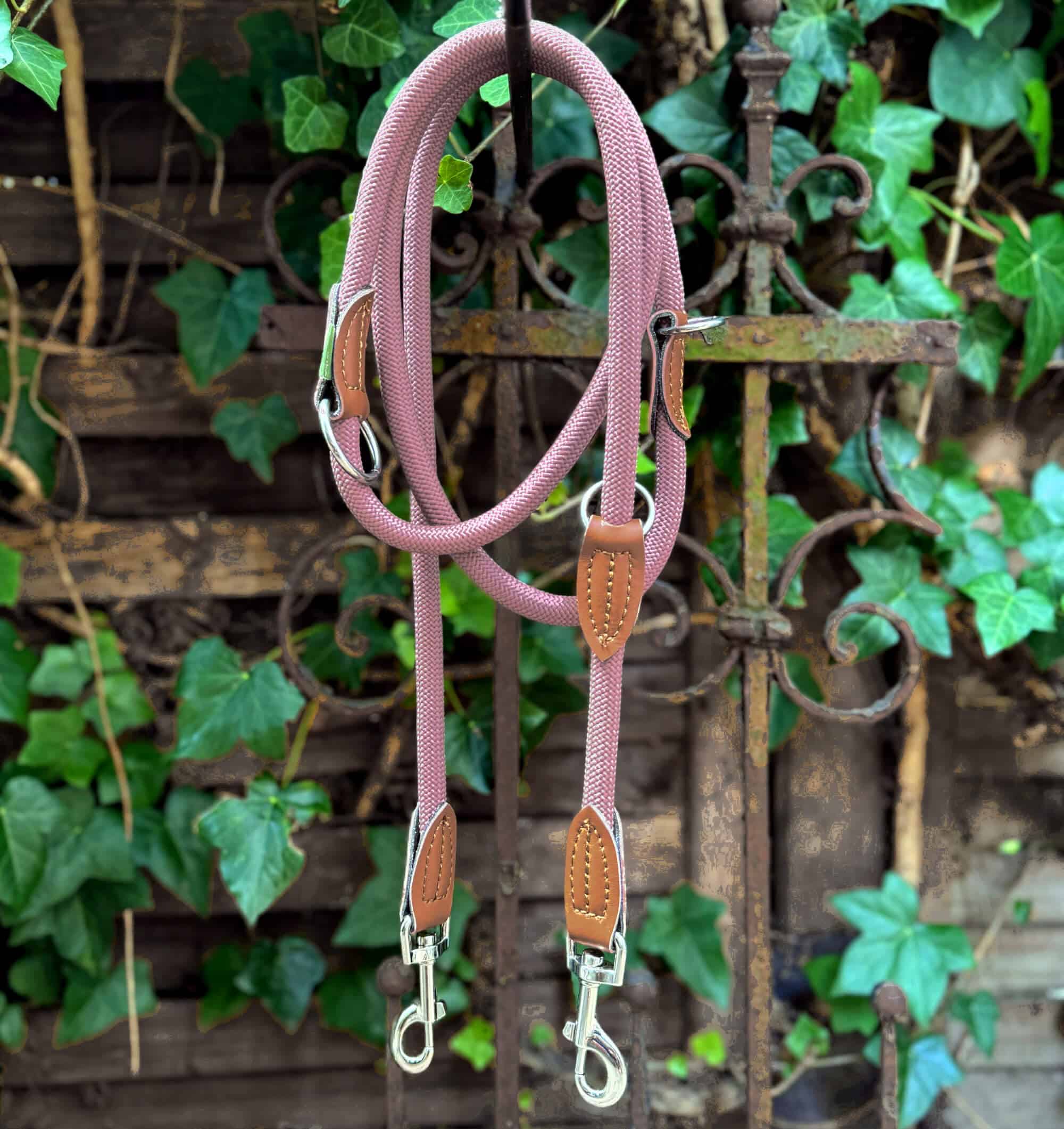 Nylon Hundeleine 2 m lang, in Altrosa mit zwei Karabinern und Lederverstärkungen